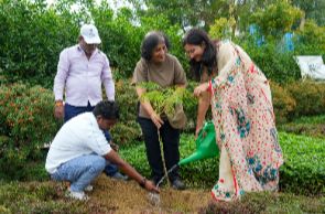 environment-day-celebration-fbd
